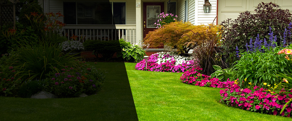 Felton Landscapers