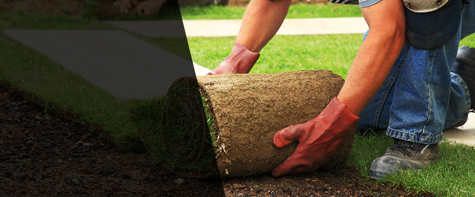 Felton Landscapers